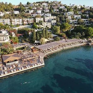 5* Hotel No81
