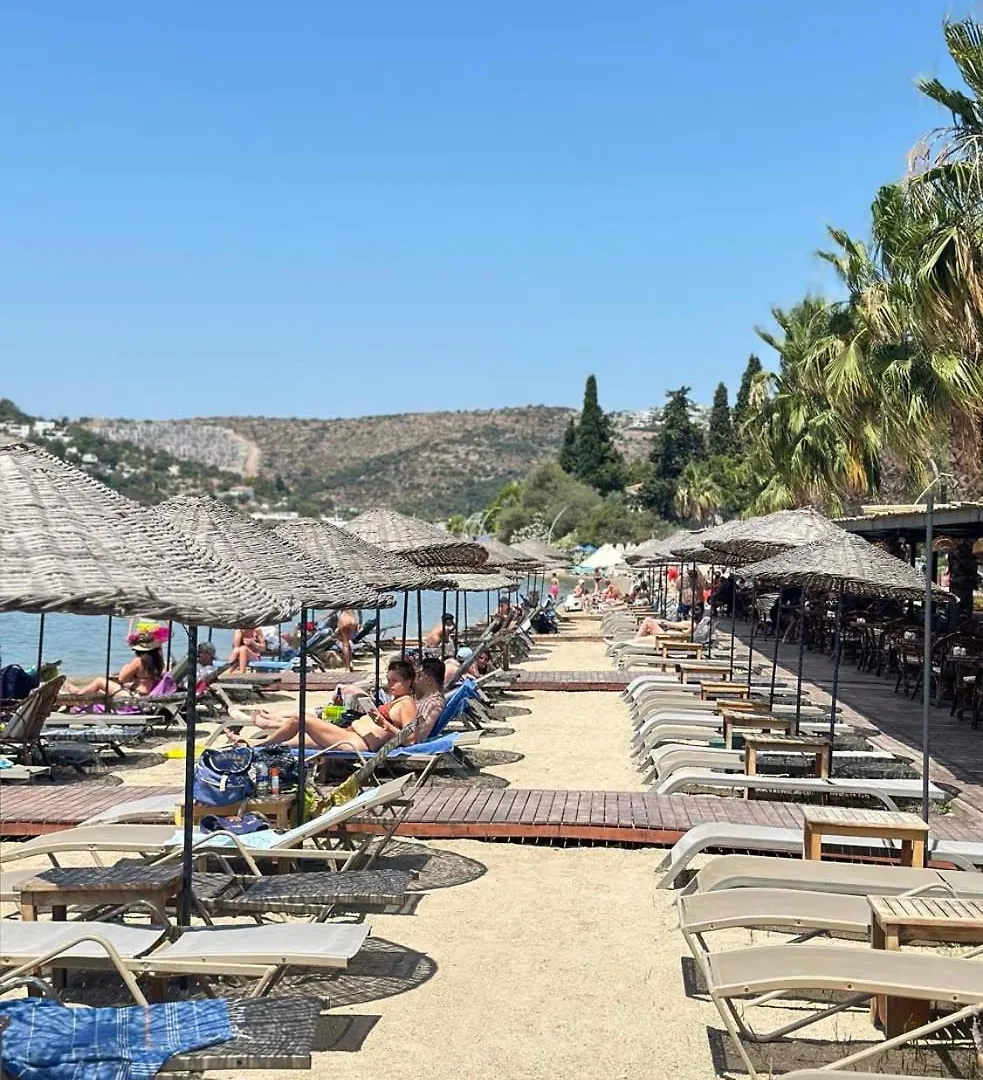 Ambrosia Hotel Beach & Spa Bitez 5*,  Turcia